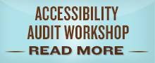 Accessibility Audit Workshop
