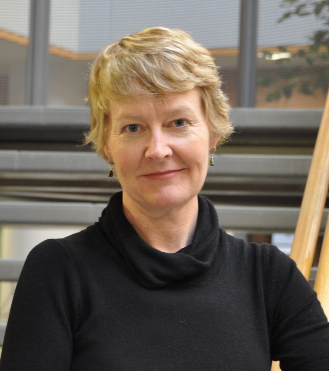 Diana McMillan, associate professor, Faculty of Nursing.