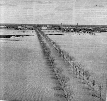 1950 photo showing avenue of elms flooded out