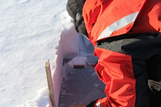 scientist measuring snow thickness and taking snow sample with a snow density cutter.