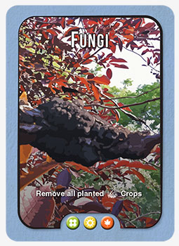 Crop Cycle fungi card