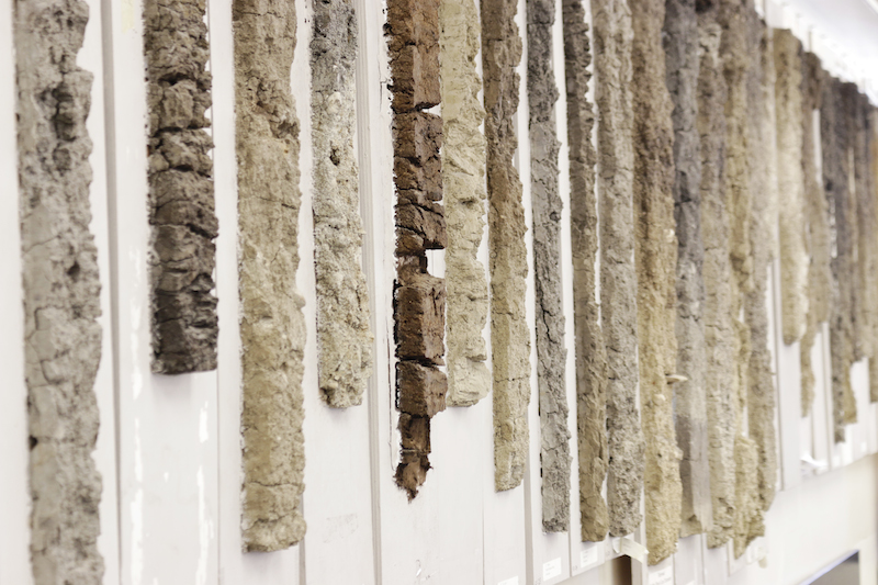 Soil samples hang a classroom wall in the U of M's department of soil science