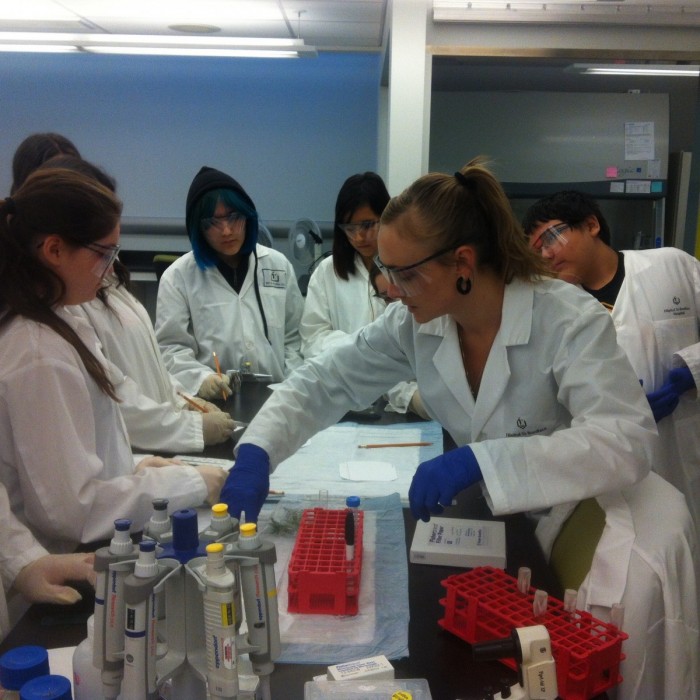 Students in the Outreach project study the chemistry behind the ingredients of medicinal plants at the BIOlab at St. Boniface Hospital.