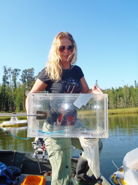 Bailey Rankine Collecting zooplankton samples at EAL