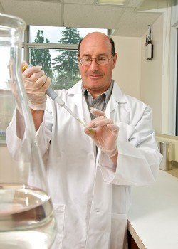 Professor David Levin.