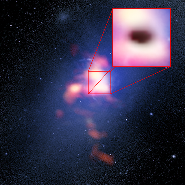 Composite image of Abell 2597 Brightest Cluster Galaxy. The background image (blue) is from the Hubble Space Telescope. The foreground (red) is ALMA data showing the distribution of carbon monoxide gas in and around the galaxy. The pull-out box is the ALMA data of the "shadow" (black) produced by absorption of the millimetre-wavelength light emitted by electrons whizzing around powerful magnetic fields generated by the galaxy's black hole. Credit: B. Saxton (NRAO/AUI/NSF); G. Tremblay et al.; NASA/ESA Hubble; ALMA (ESO/NAOJ/NRAO)
