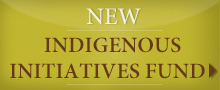 Indigenous Initiatives Fund
