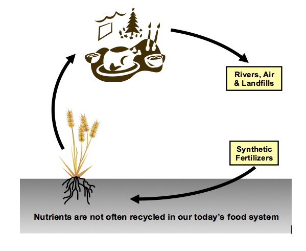 Figure: The break in the nutrient "cycle" after food is consumed increases our dependence on synthetic fertilizers and threatens the long term sustainability of our food production system