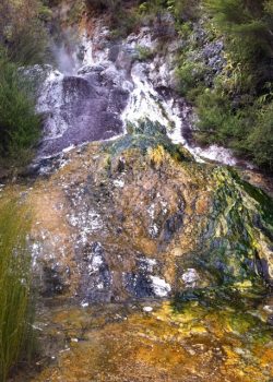 diamond-geyser-at-orakei-korako-geothermal-park-richard-sparling
