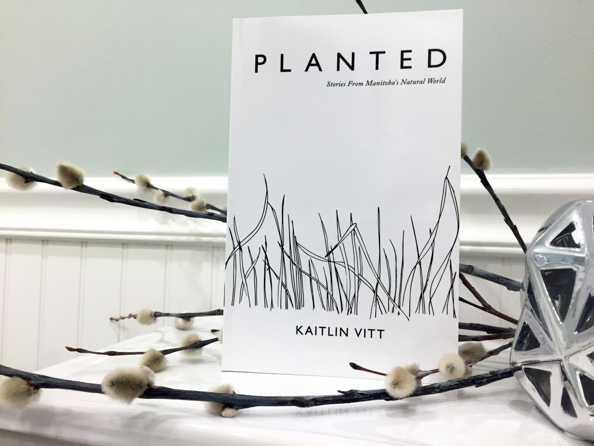 planted-stories-from-manitobas-natural-world-photo-by-madelaine-lapointe