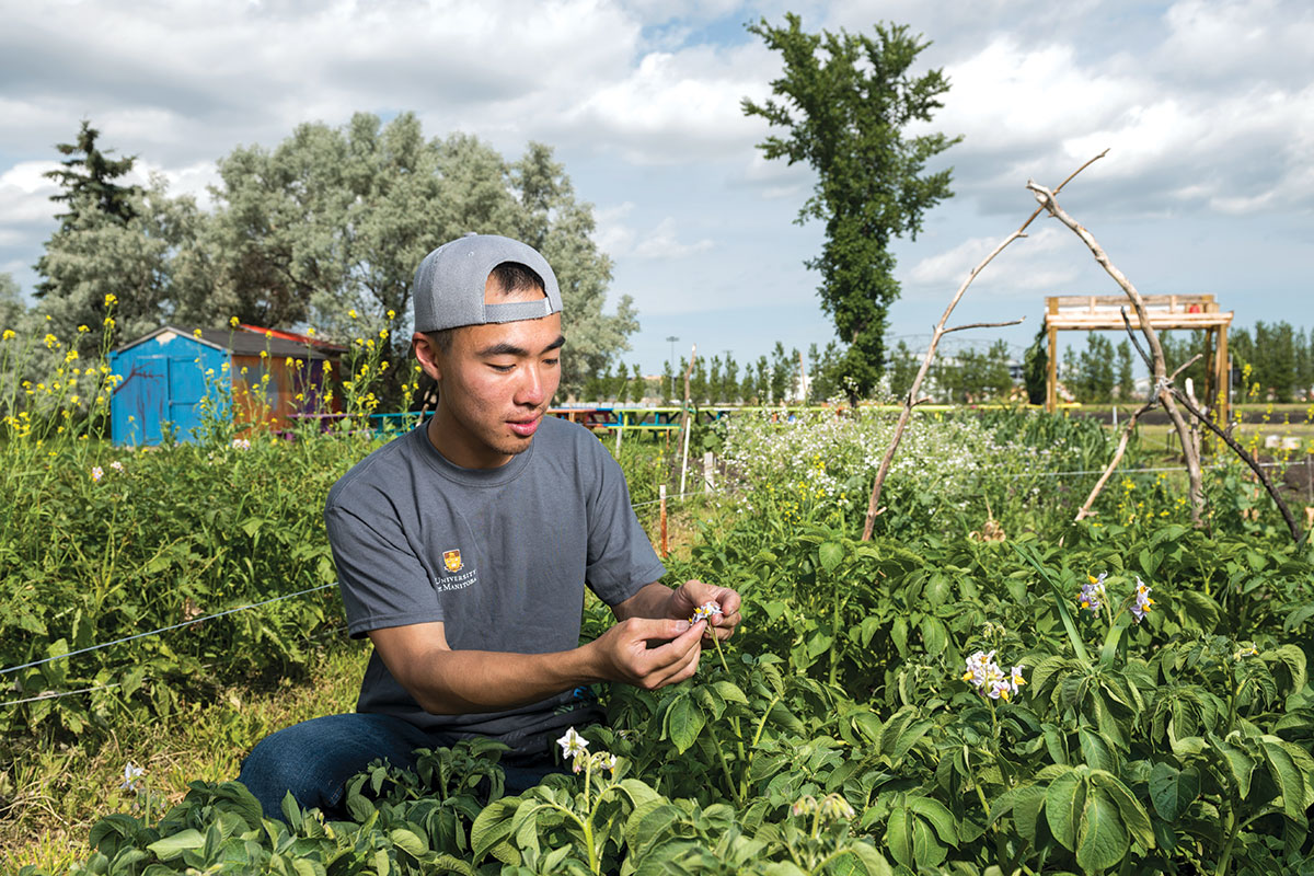 Li chose Canada and the U of M to pursue his post-secondary education because of our expertise in the field of agriculture