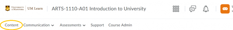 Figure 2 Course homepage displaying the updated course navigation