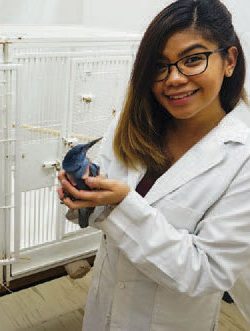 Hera Casidsid in the lab with a pinyon jay.