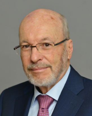 Professor Wolfgang Stroebe