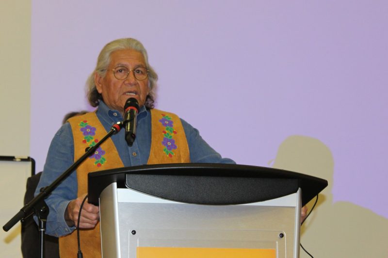 Wanbdi Wakita, Dakota elder, storyteller, and Access Program Unkan (Grandfather)-in-residence