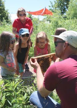 School kids investigate an observation hive with Chris Kirouac. // Photo from Lindsay Nikkel