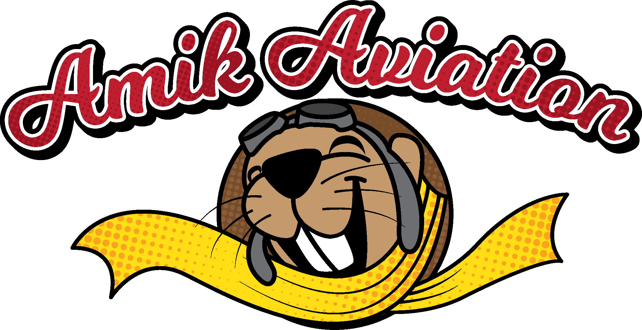 Logo of Amik Aviation