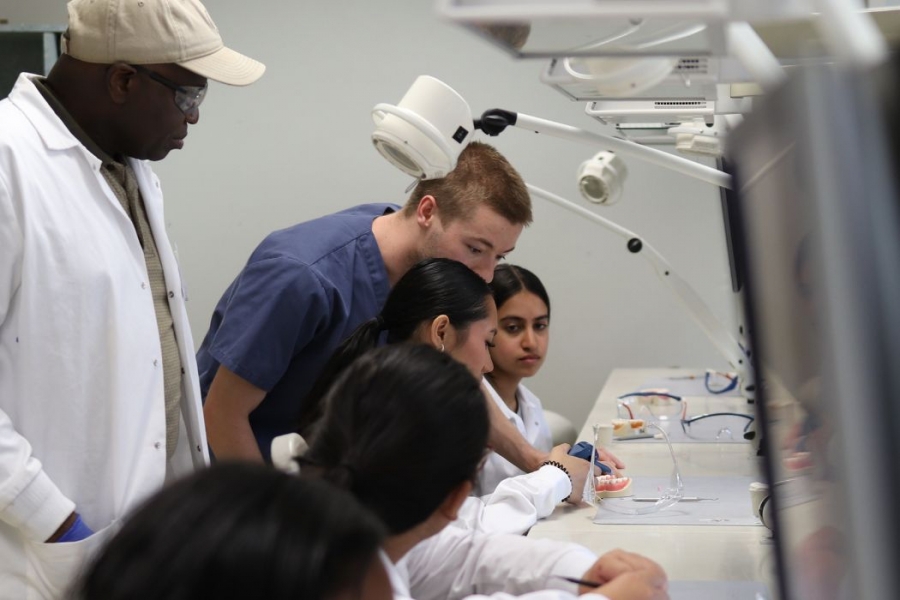 Two instructors guide students in a dentistry lab as they examine dental models.