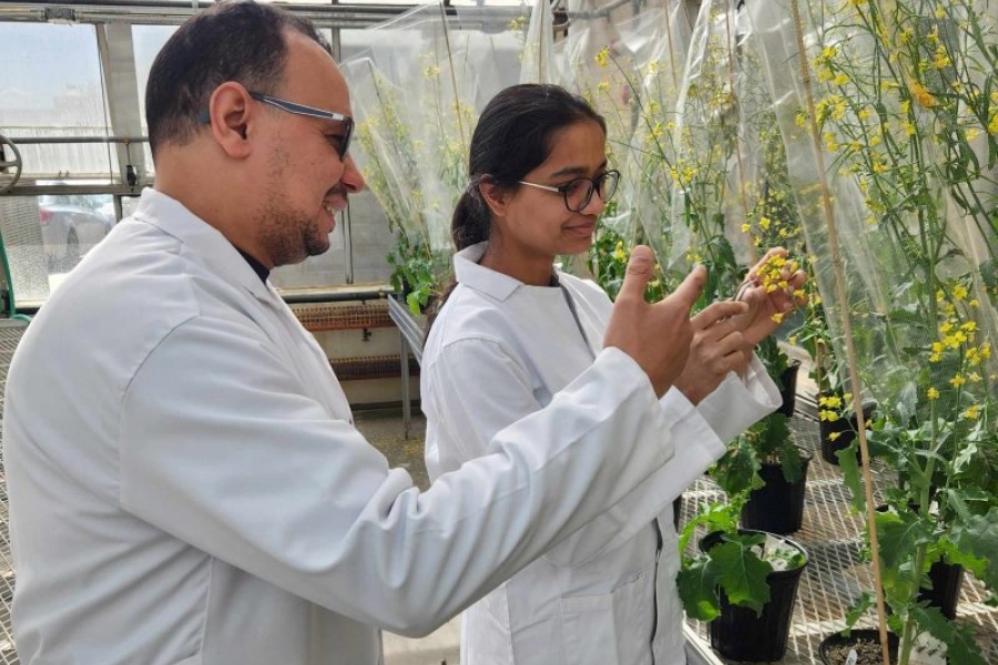 researchers looking at flowers 
