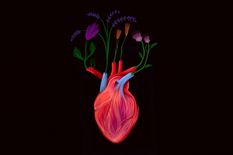 Illustration of flowers emerging upward from the veins and arteries of a heart.