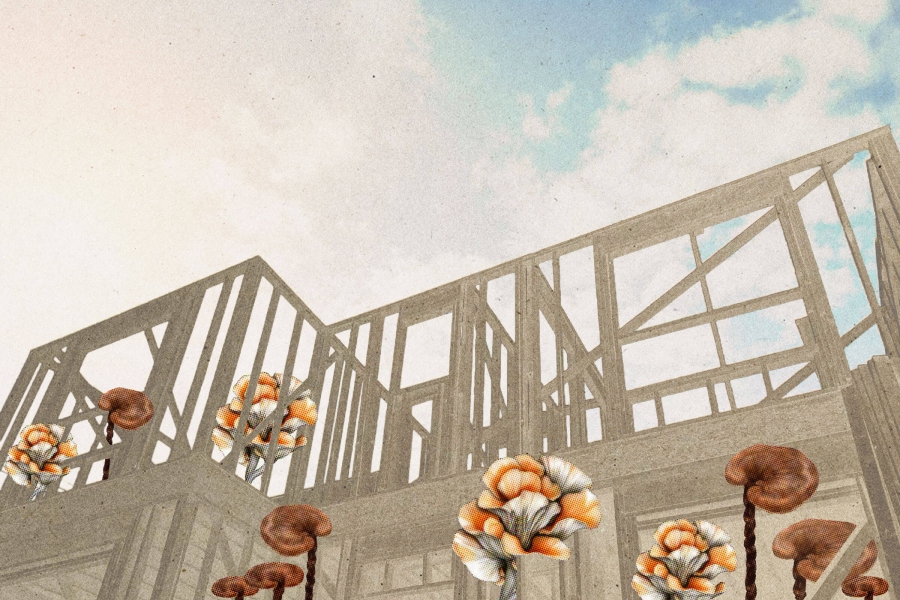 The frame of a building with mushrooms growing in the foreground.