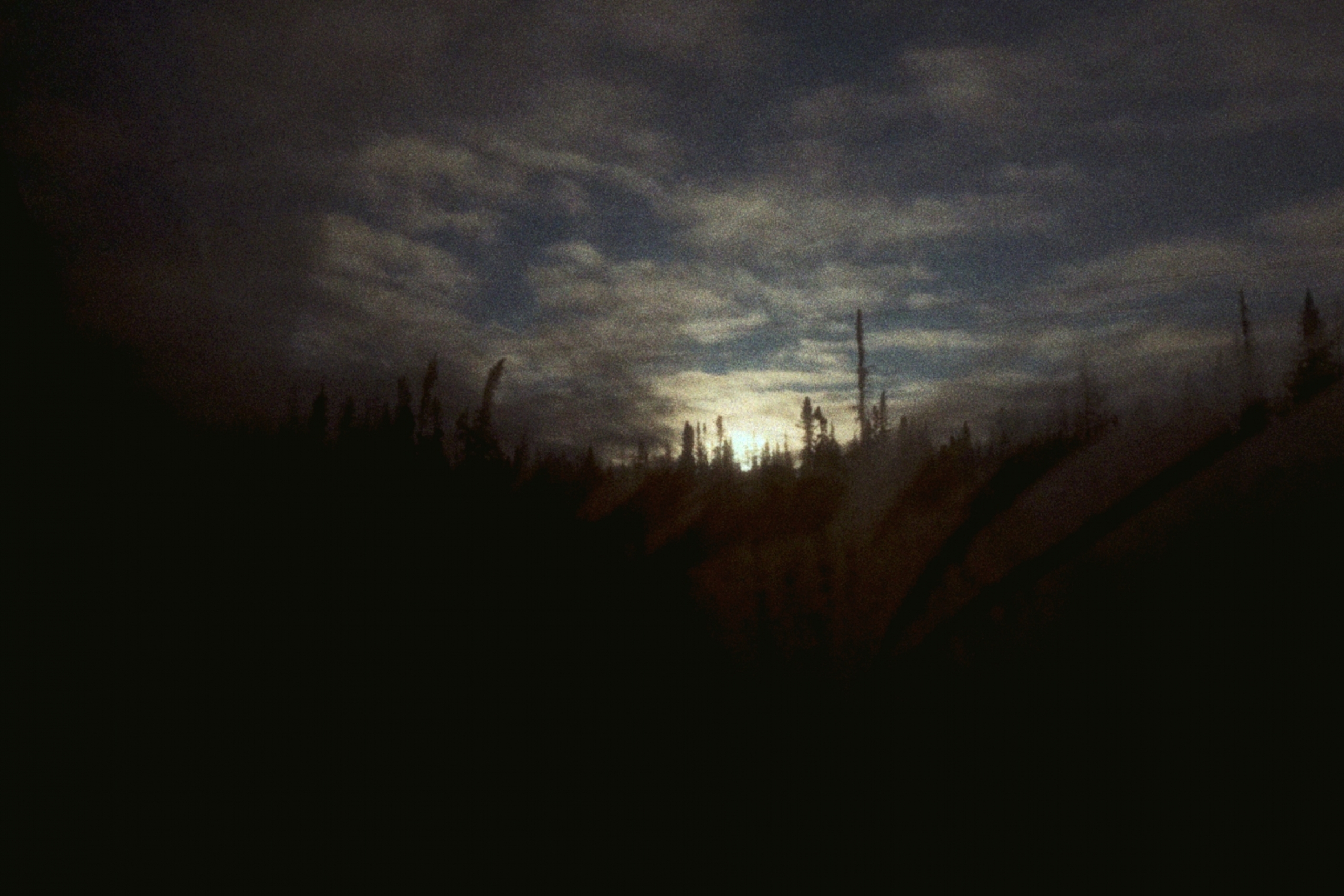 sillhouette treetops against a cloudy sky with the sun rising beyond.