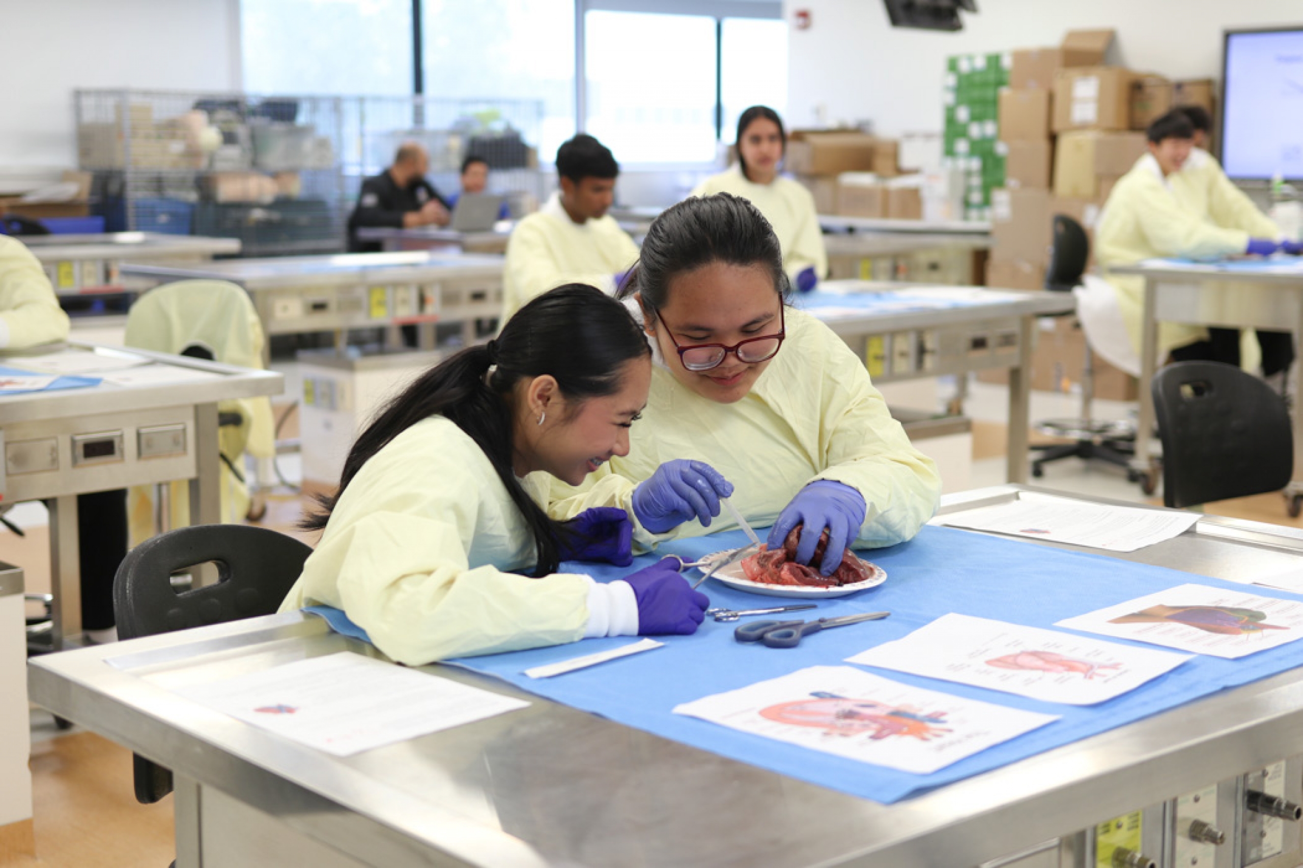 Two campers at a lab table dissecting a heart specimen.
