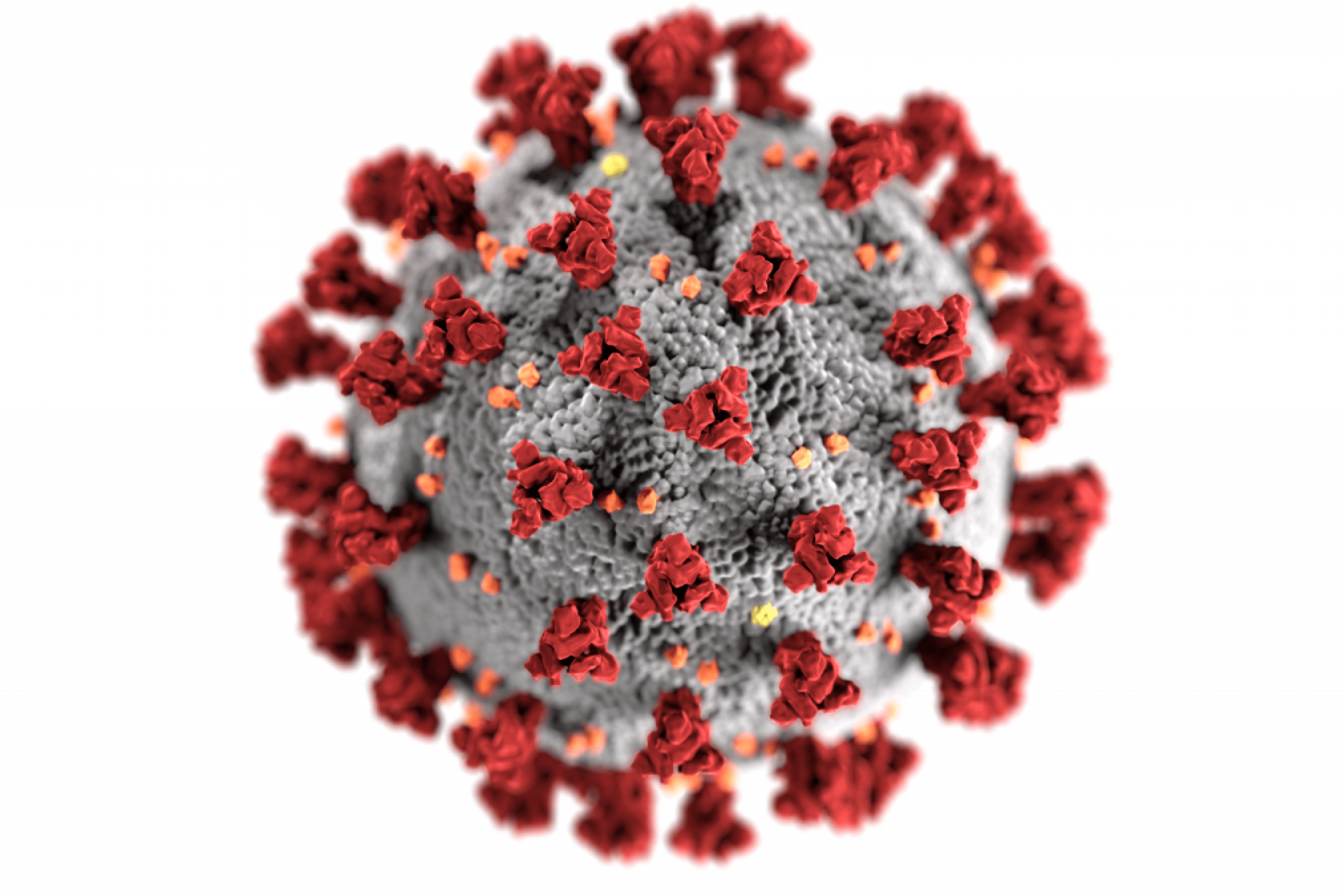 Illustration of COVID-19 virus.