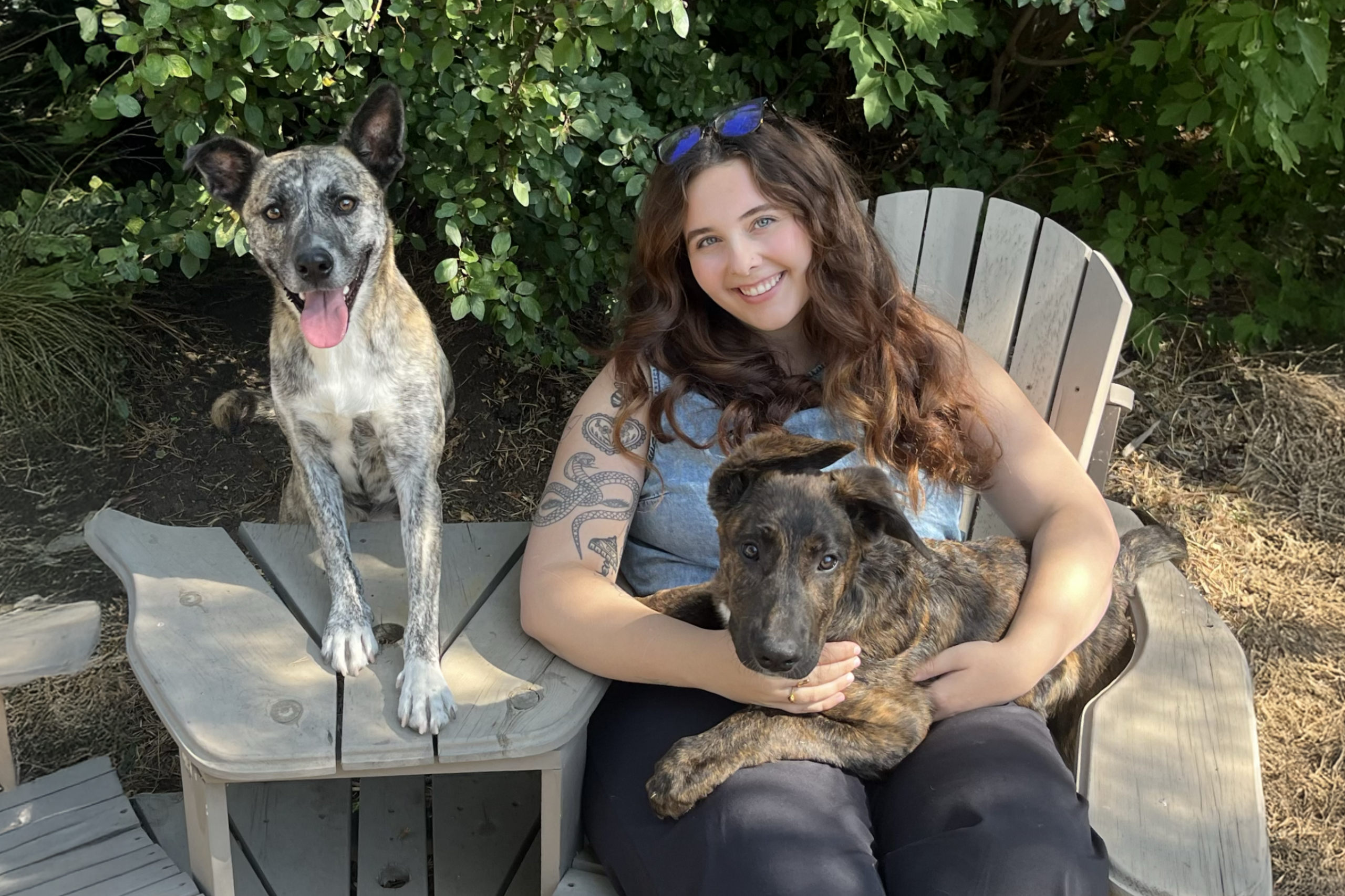 MSW student Emma enjoys the outdoors with her two dogs.