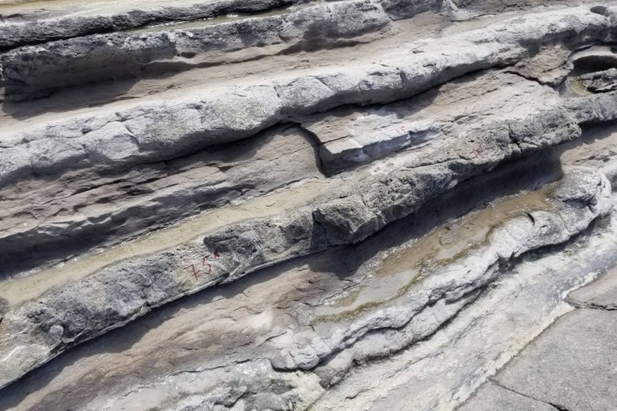 Layers of Middle Jurassic sedimentary rocks at Figueira da Foz in Portugal.