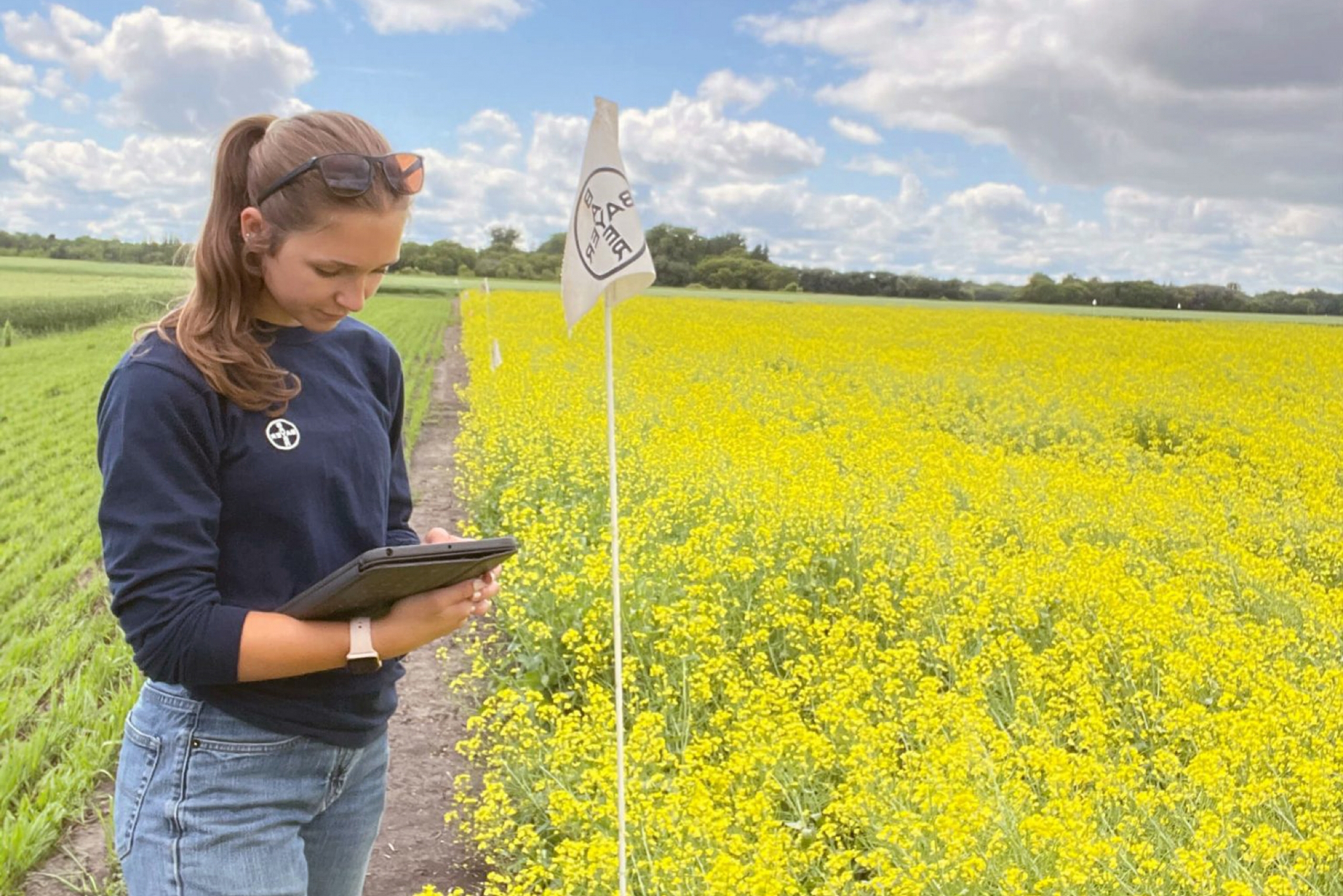 Co-op student Gabriella Beckta stands near a field of canola working on a tablet.