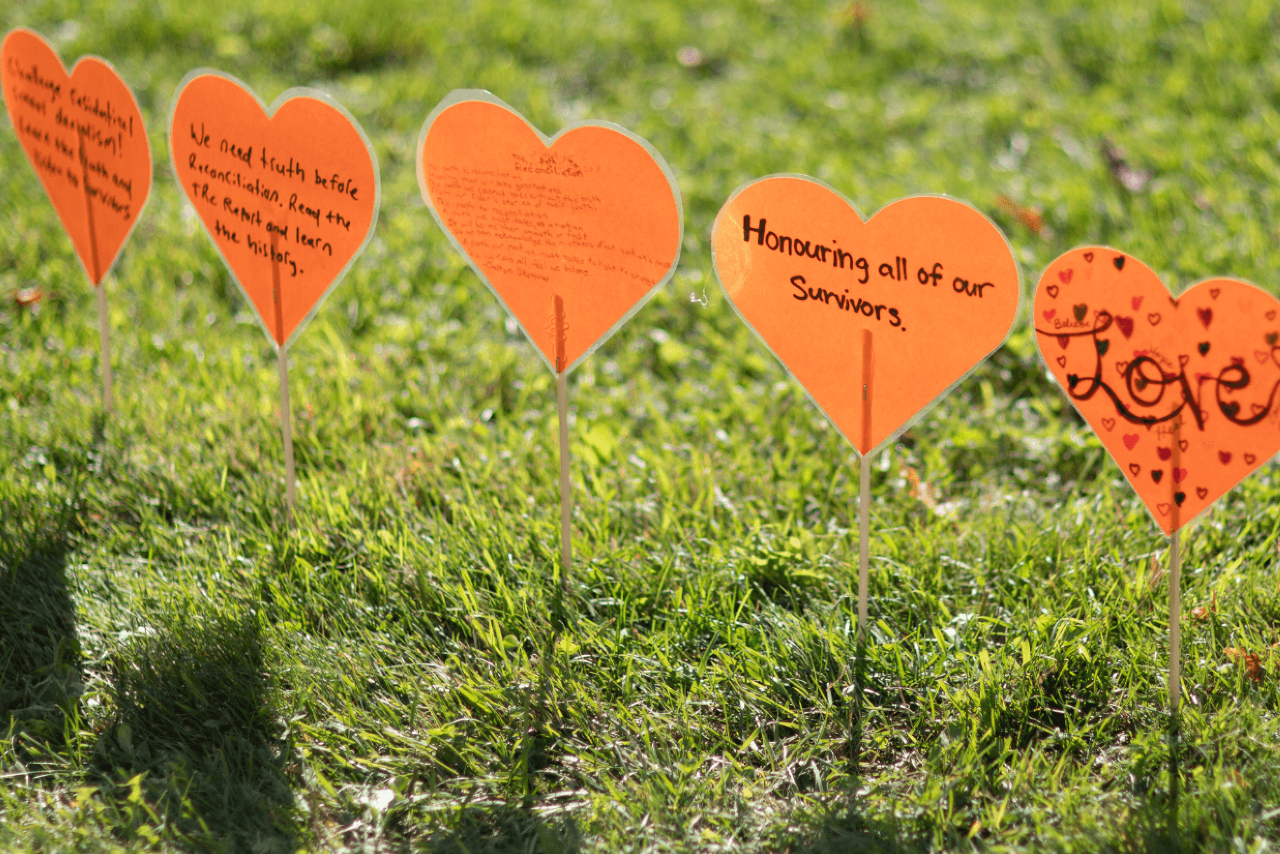 Paper orange hearts with messages about truth and reconciliation are attached to sticks and planted in the lawn.