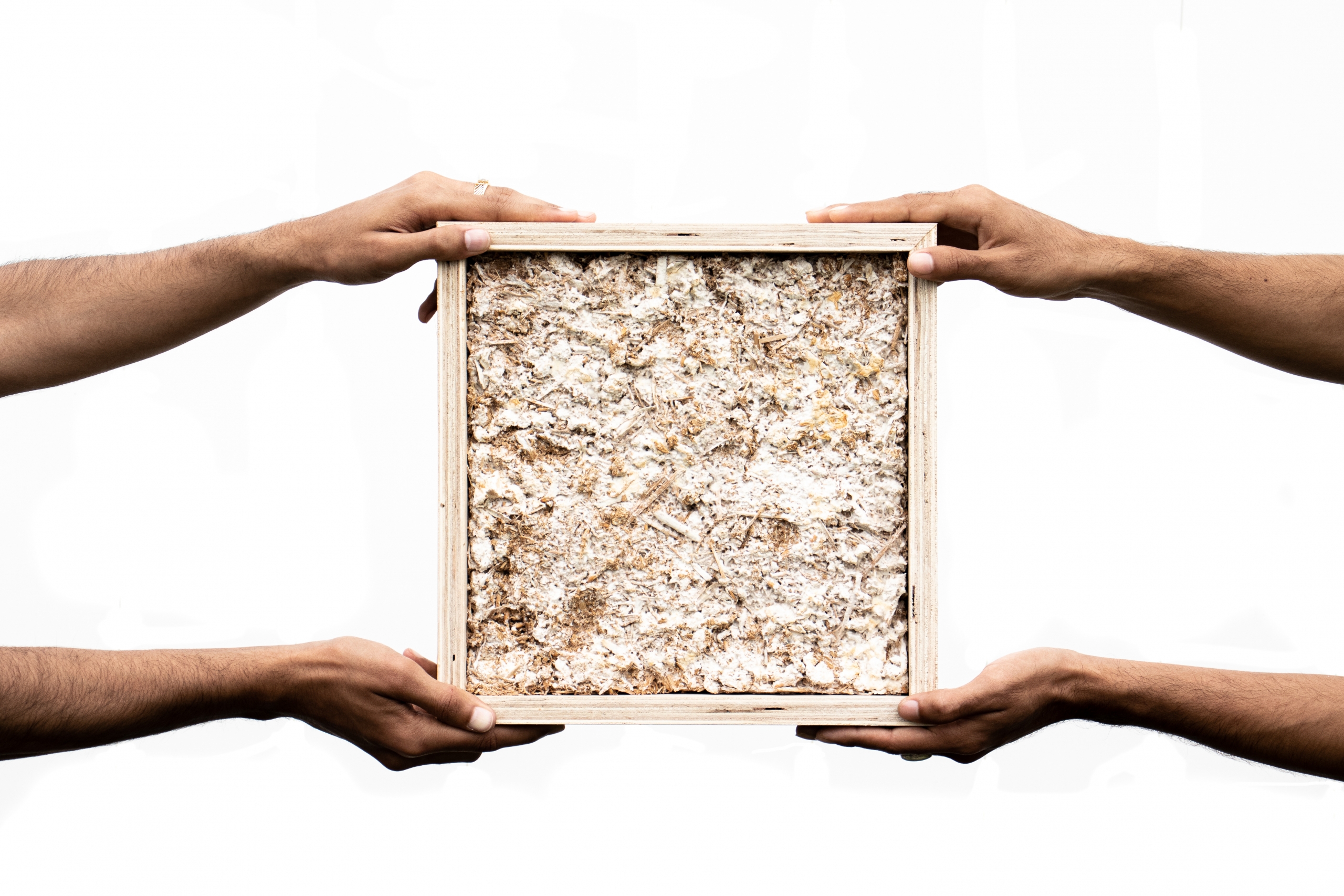 Two people holding on either side a fungi block.