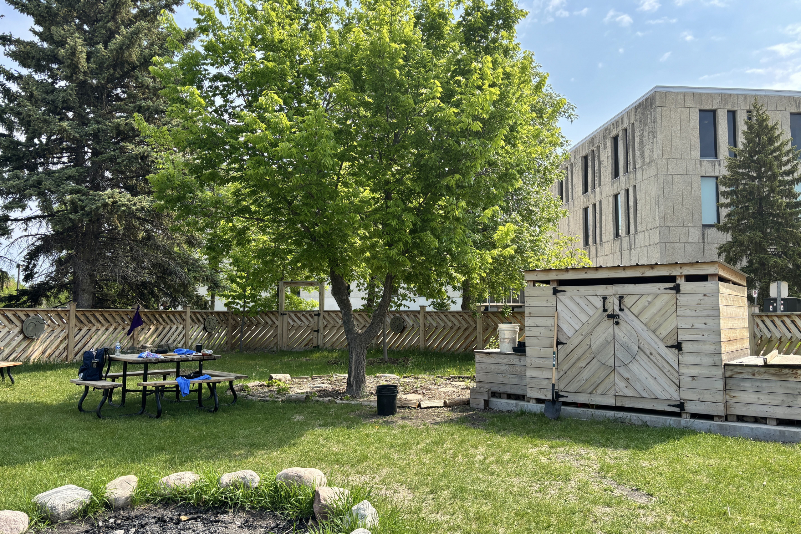 green space with cedar wood shed