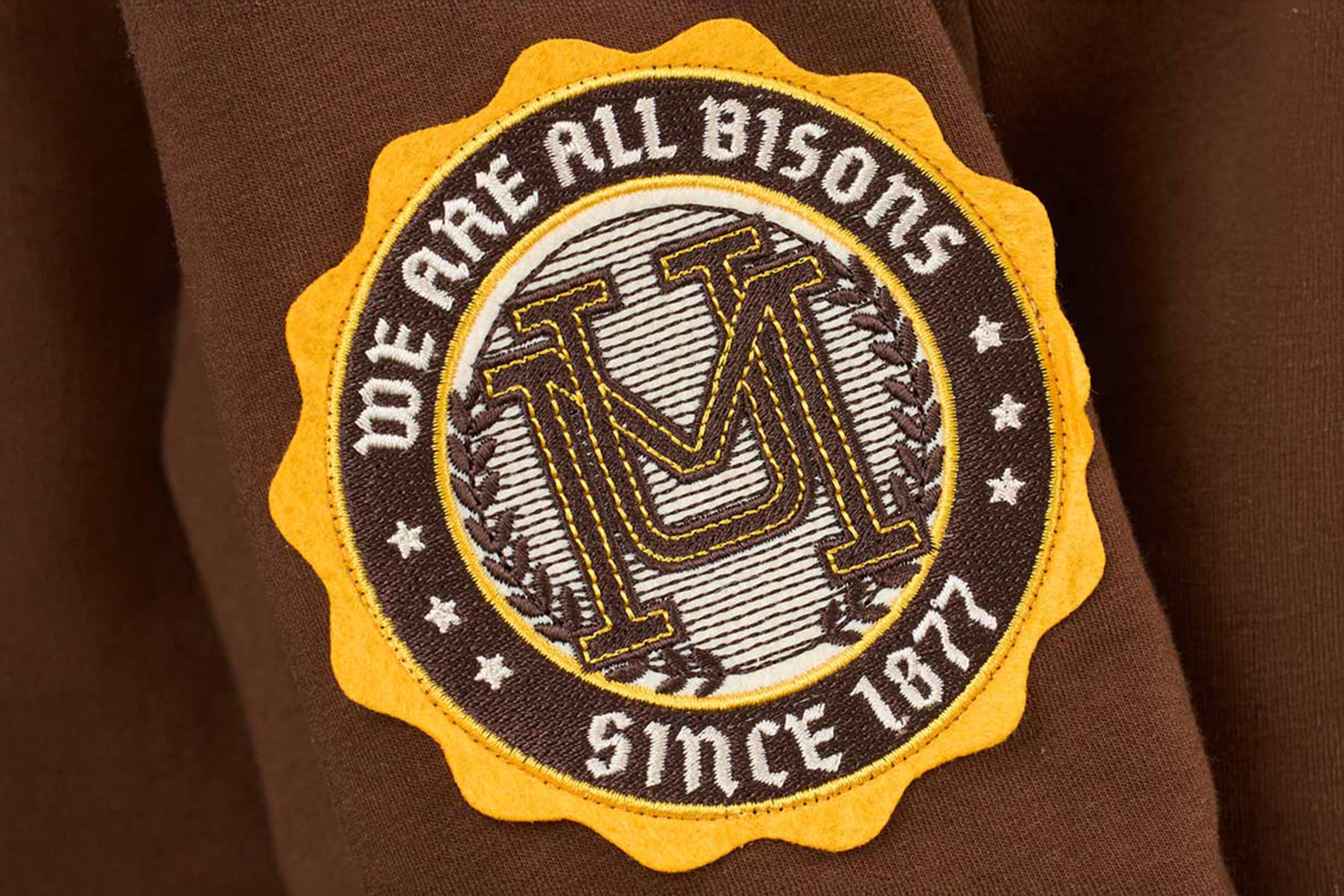 We are all Bisons arm patch 