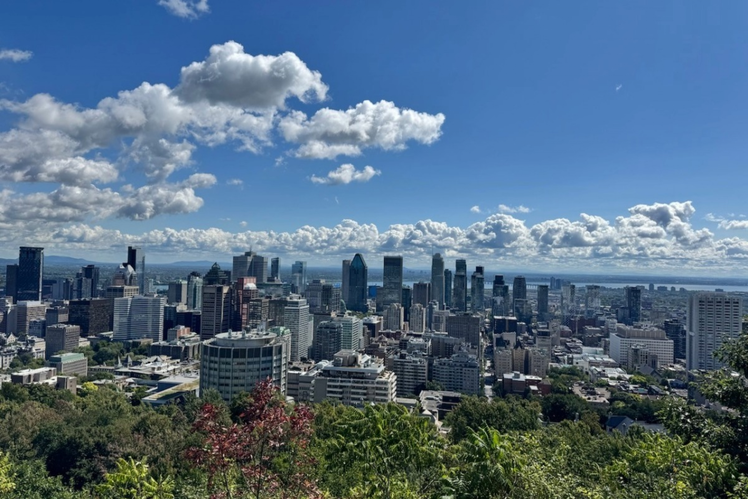 Montreal skyline on a sunny summer day.