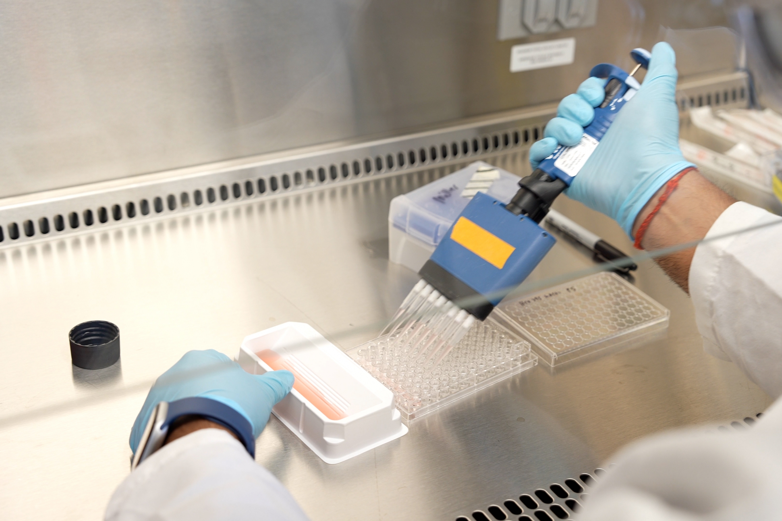 A man wearing blue gloves operates lab equipment.