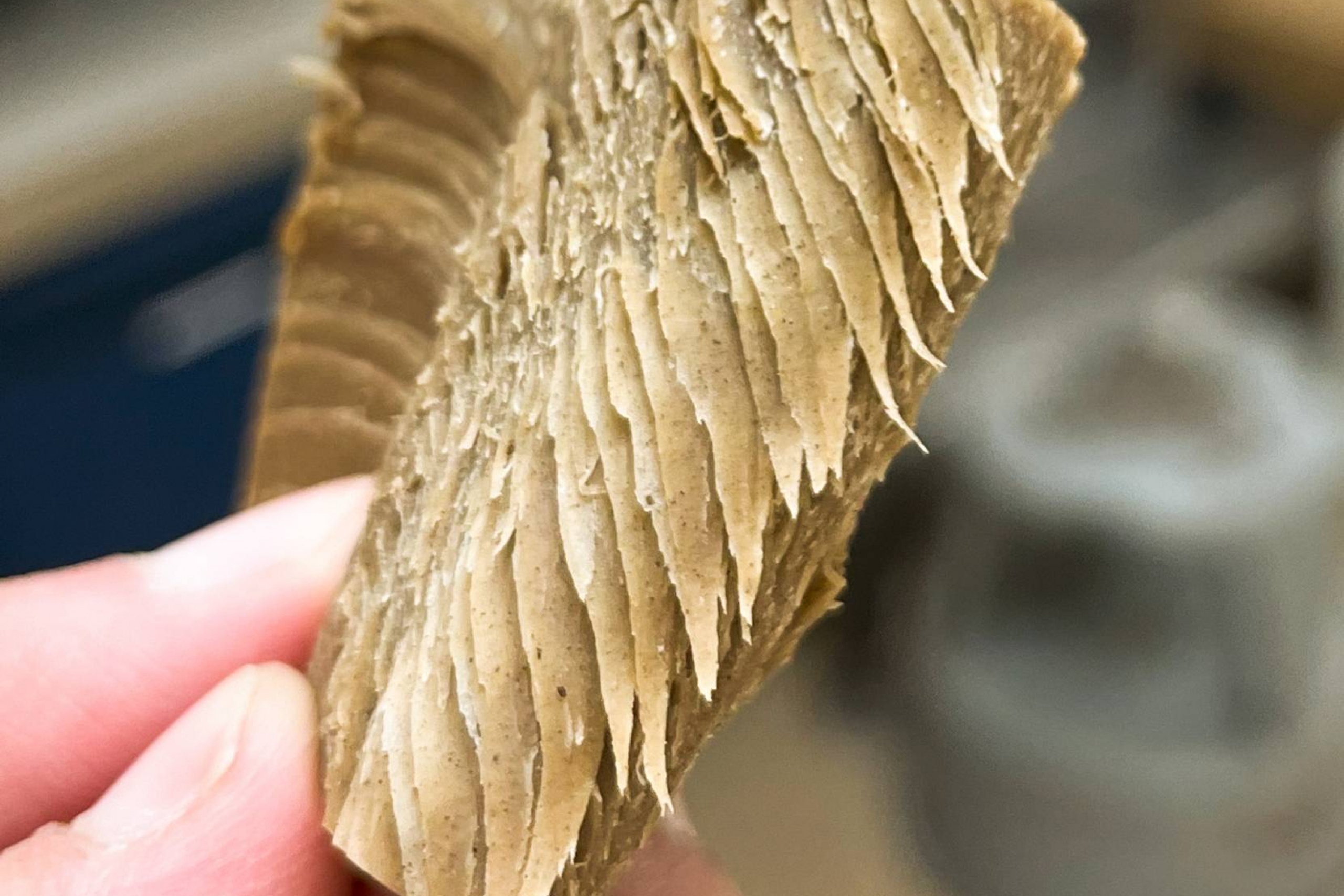 A hand holding an early version of a plant-based meat alternative