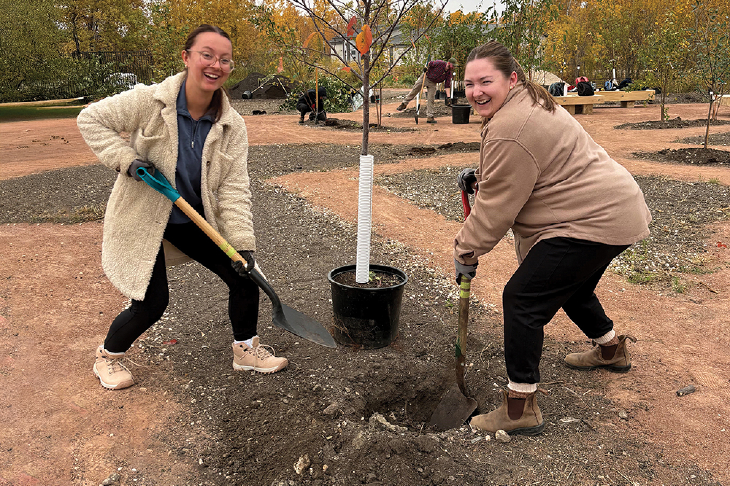 Occupational therapy students Alyssa Wright and Celeste Prescott planting a tree.