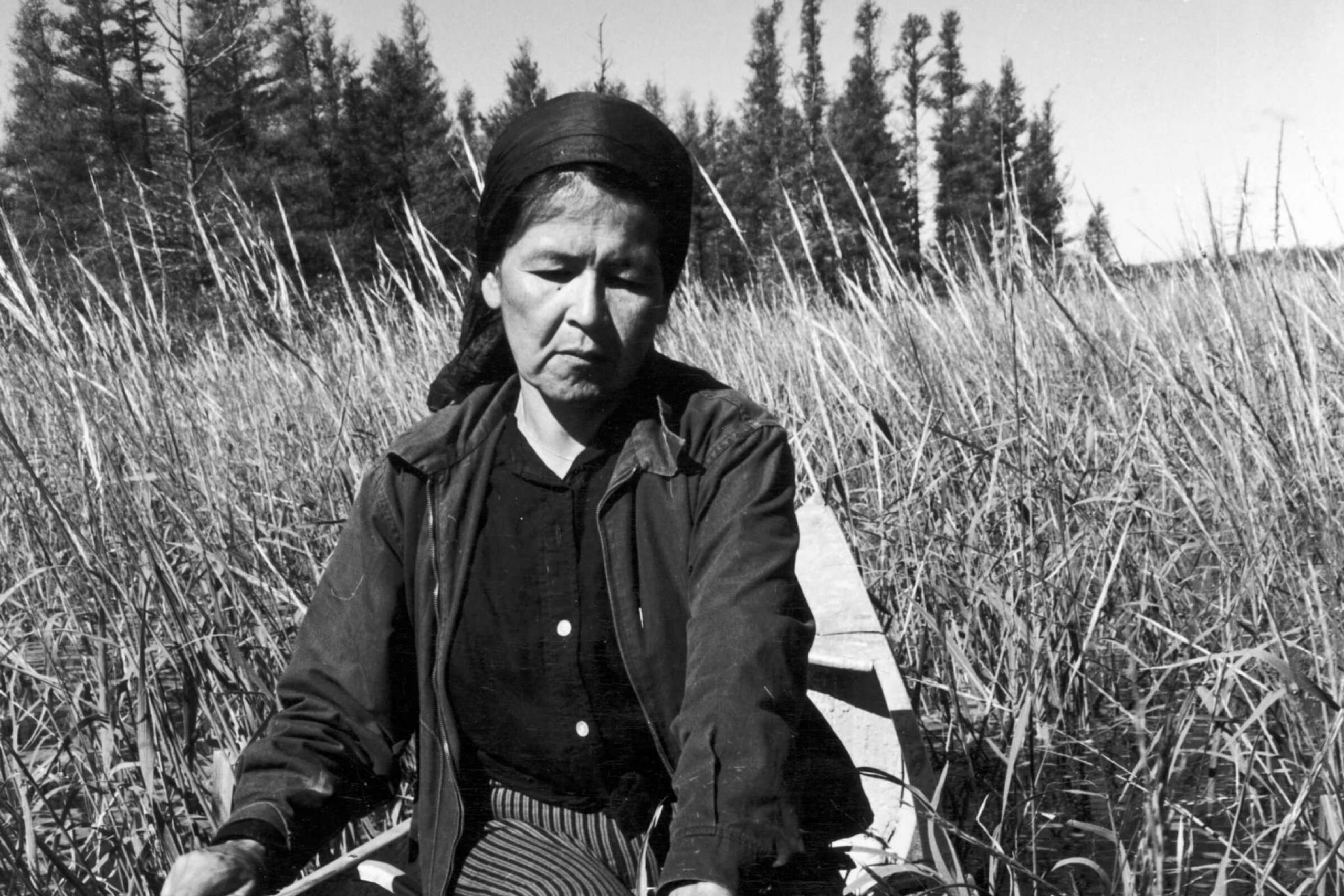 A black and white image of an Ojibwa woman, Francis Mike, harvesting wild rice in a boat on Totogatic Lake