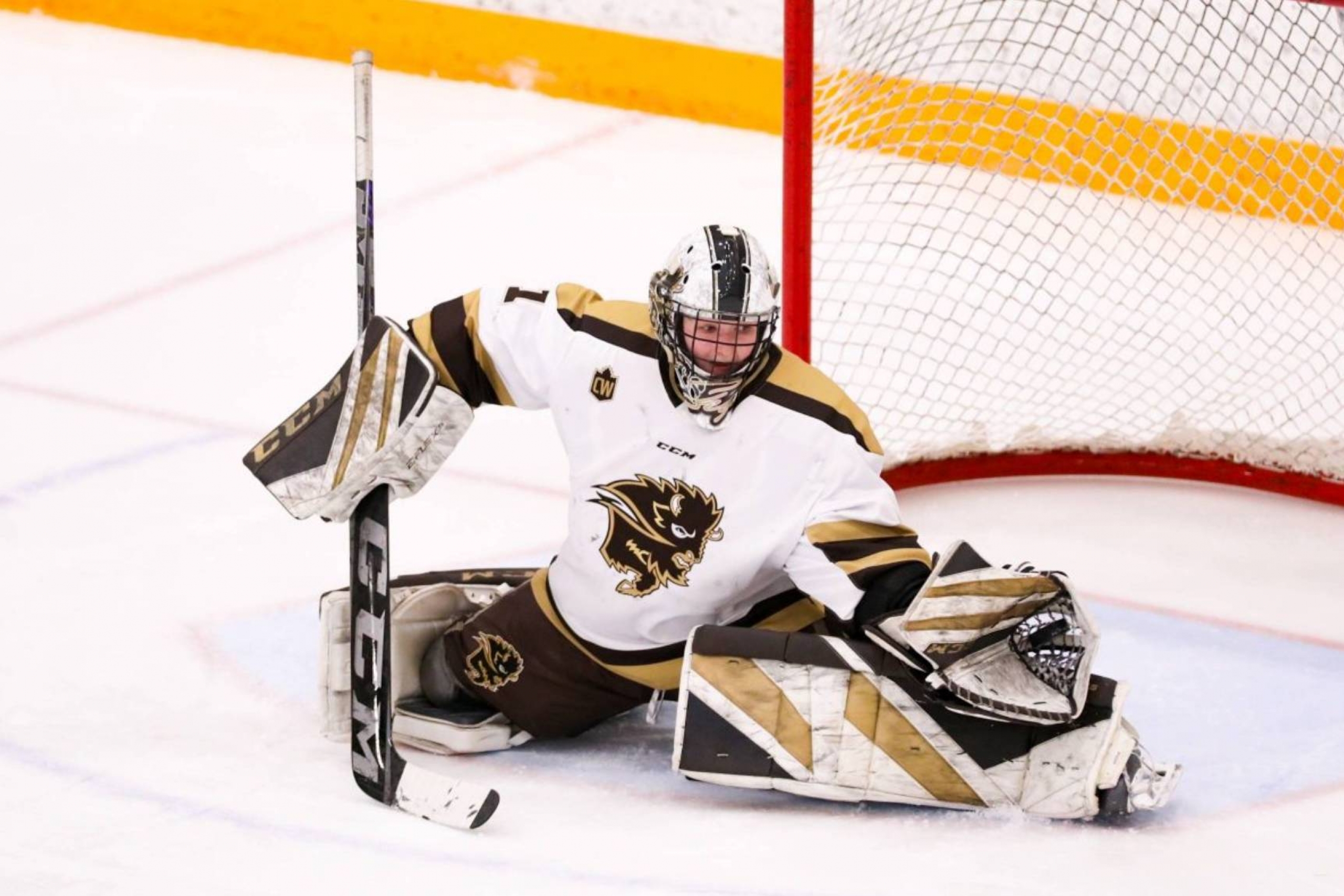 A bisons hockey goalie catches the puck in their glove during a game.