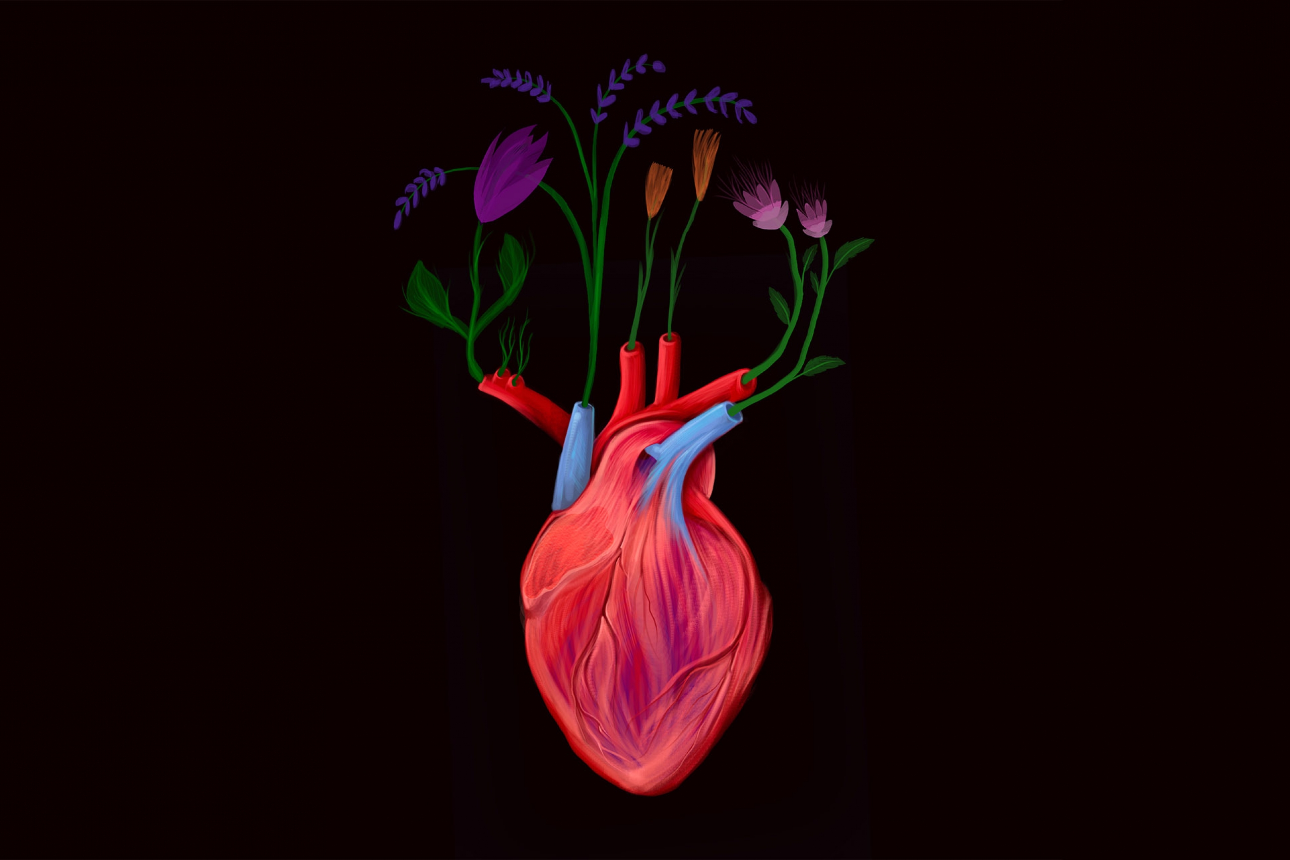 Illustration of flowers emerging upward from the veins and arteries of a heart.