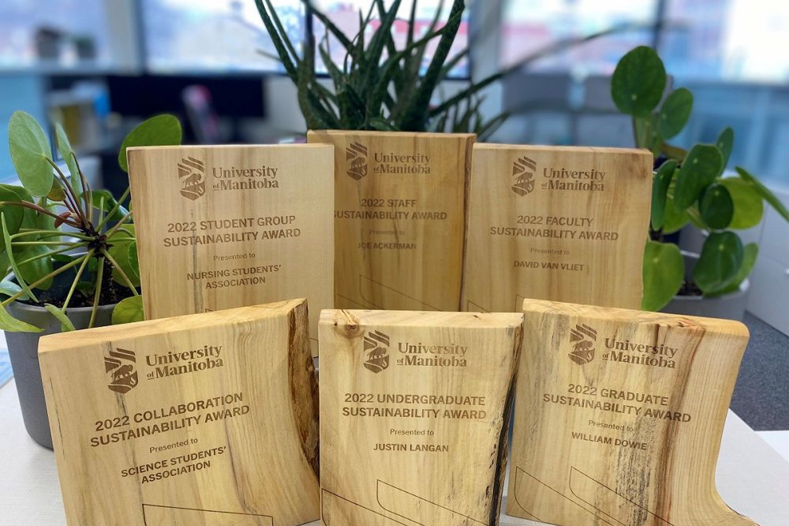 Grouping of six Sustainability Awards on display in 2022.