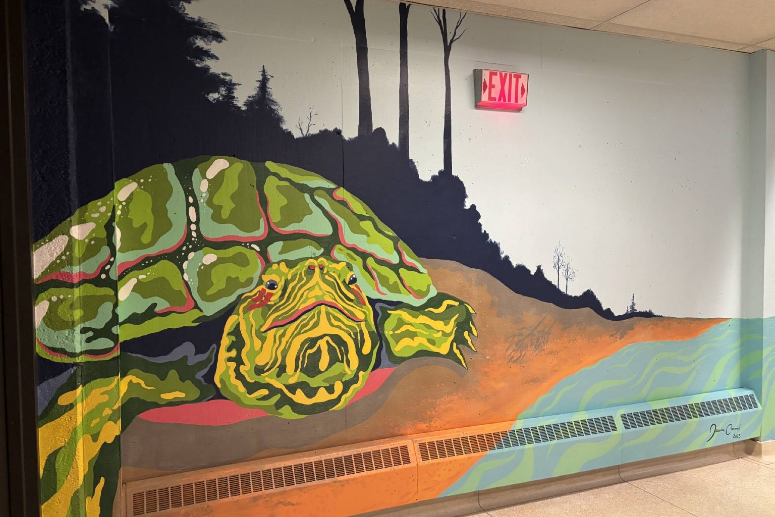 A mural featuring a turtle