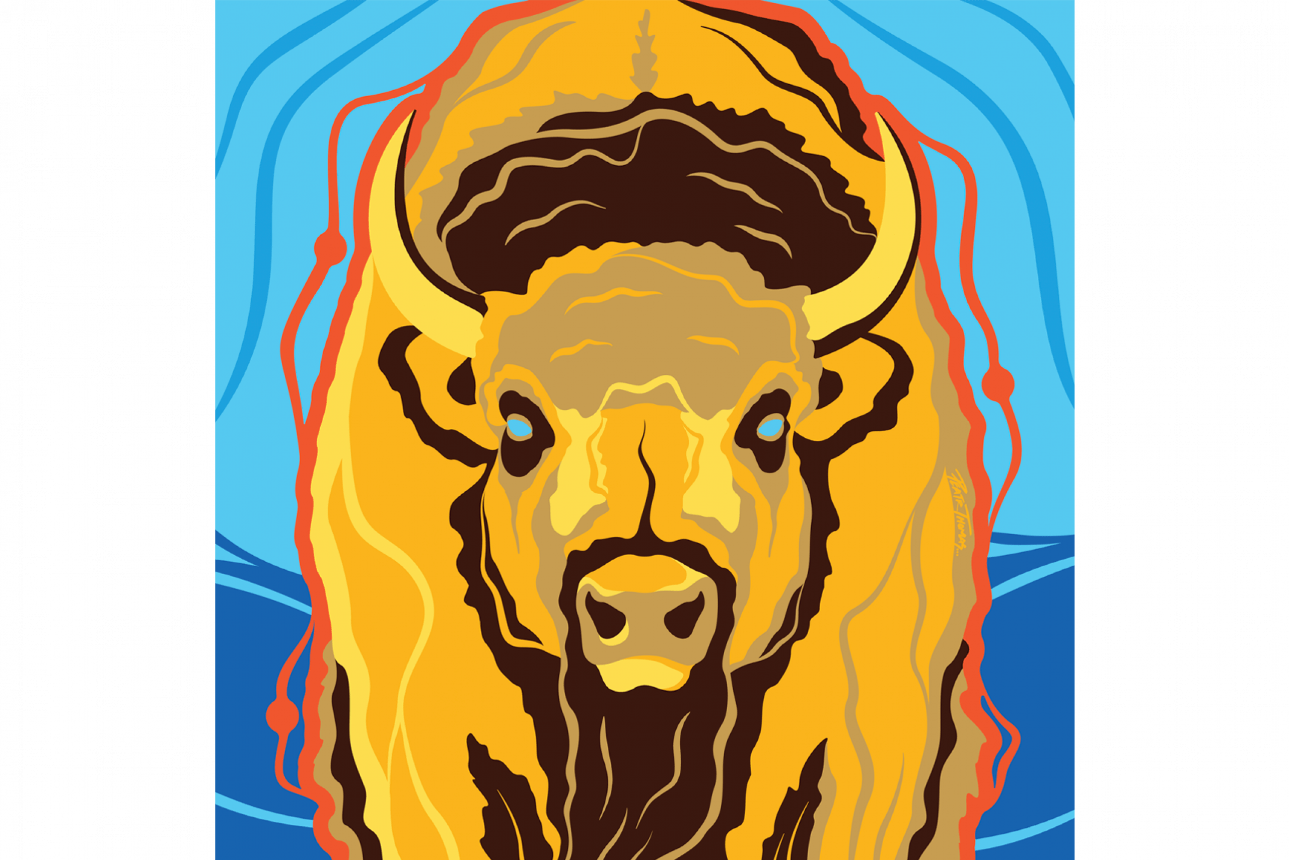 Illustration of Indigenous bison