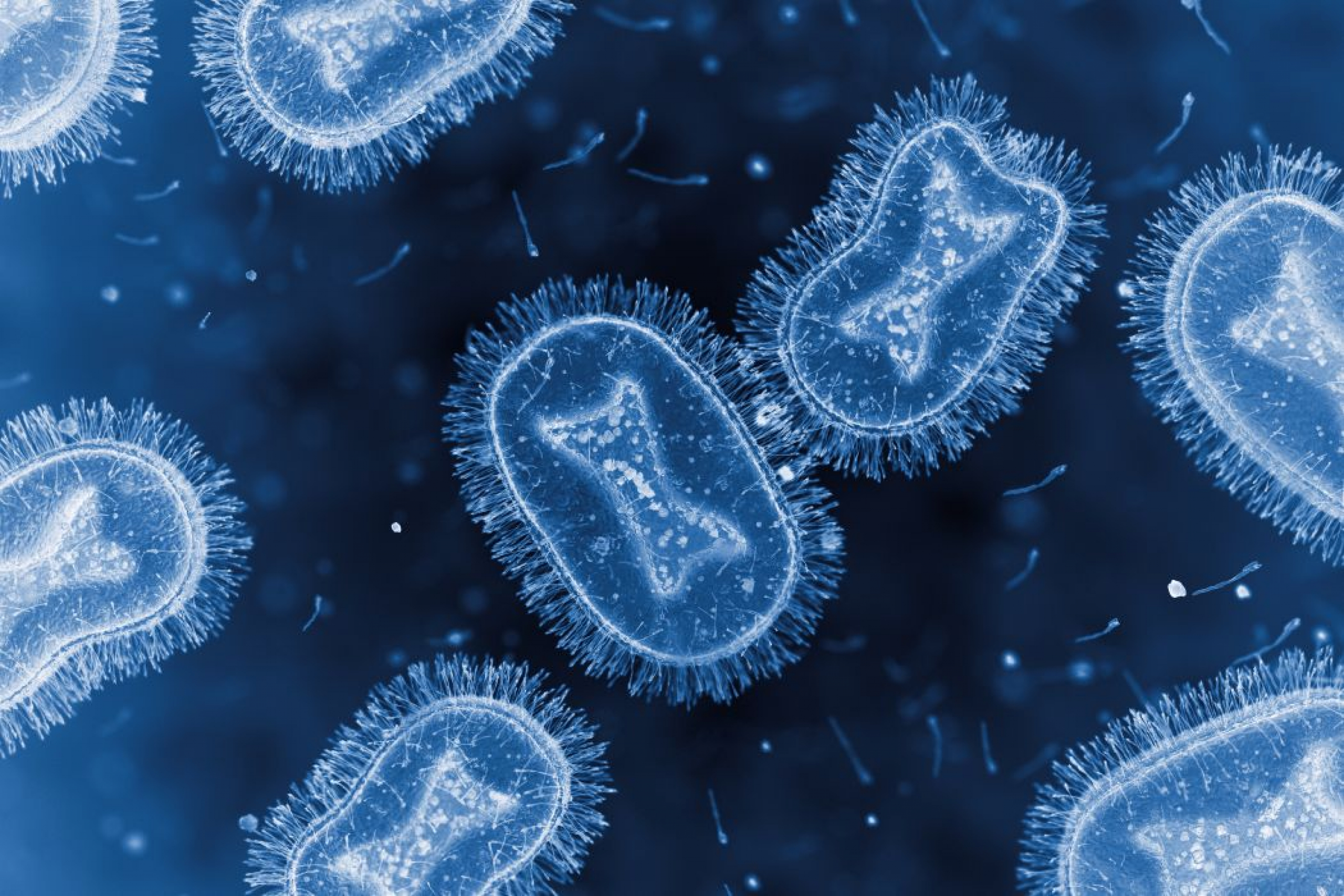 Illustration of mpox virus.