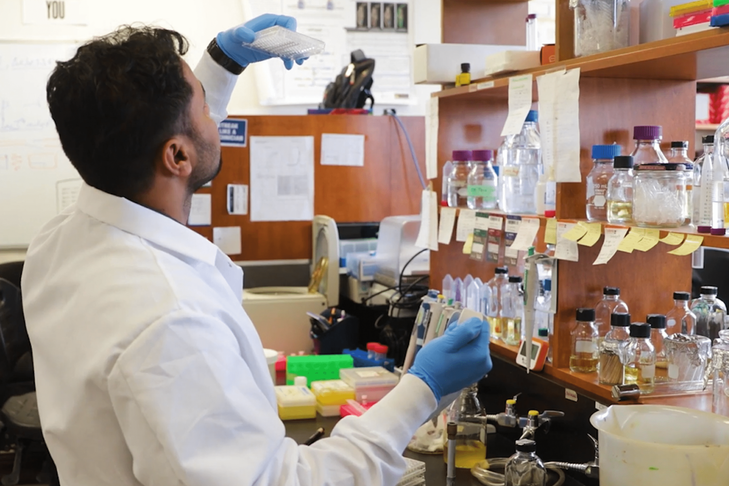 Male research working in a lab