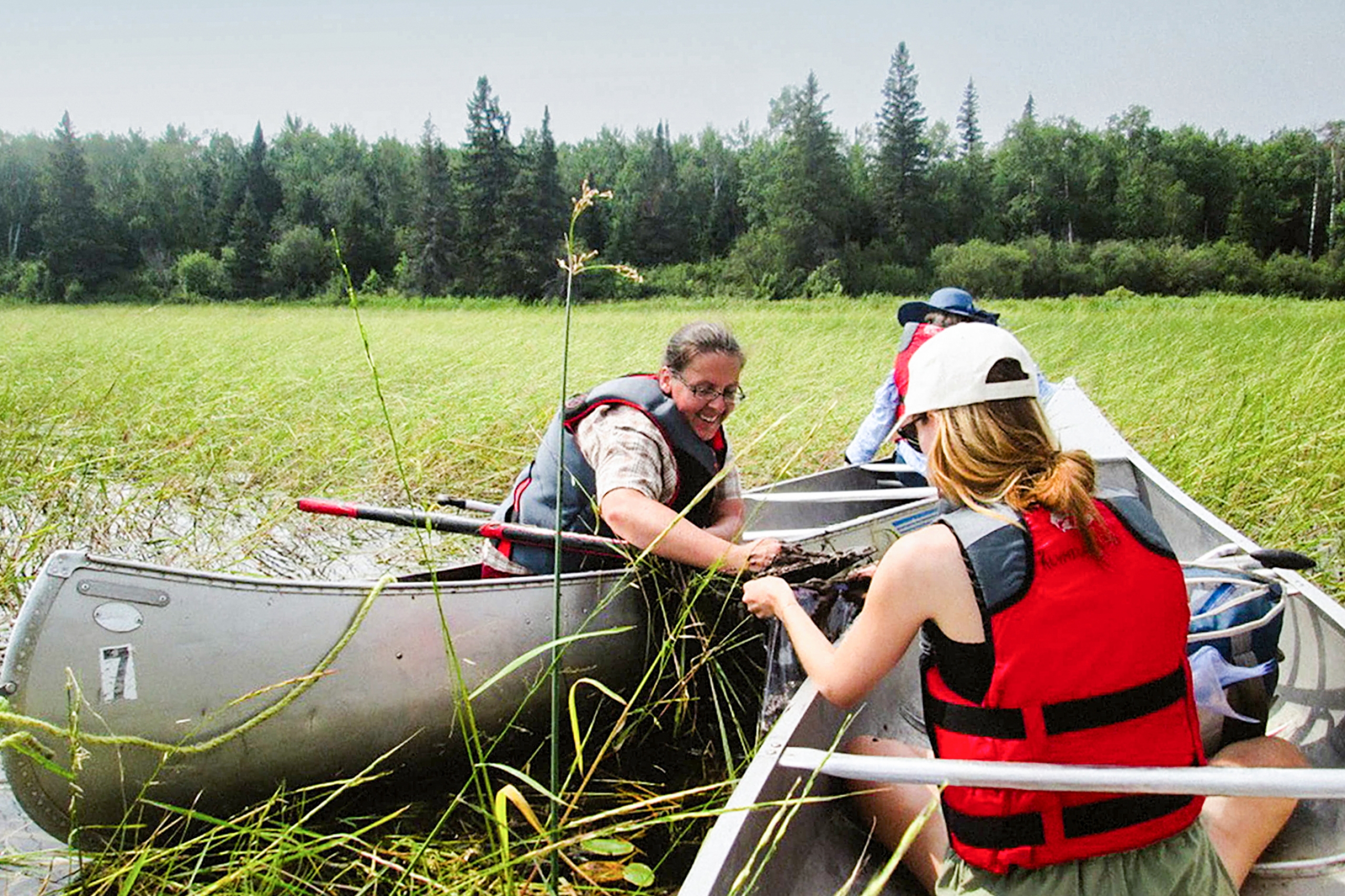 Az Klymiuk collecting wild rice with students on South Cross Lake