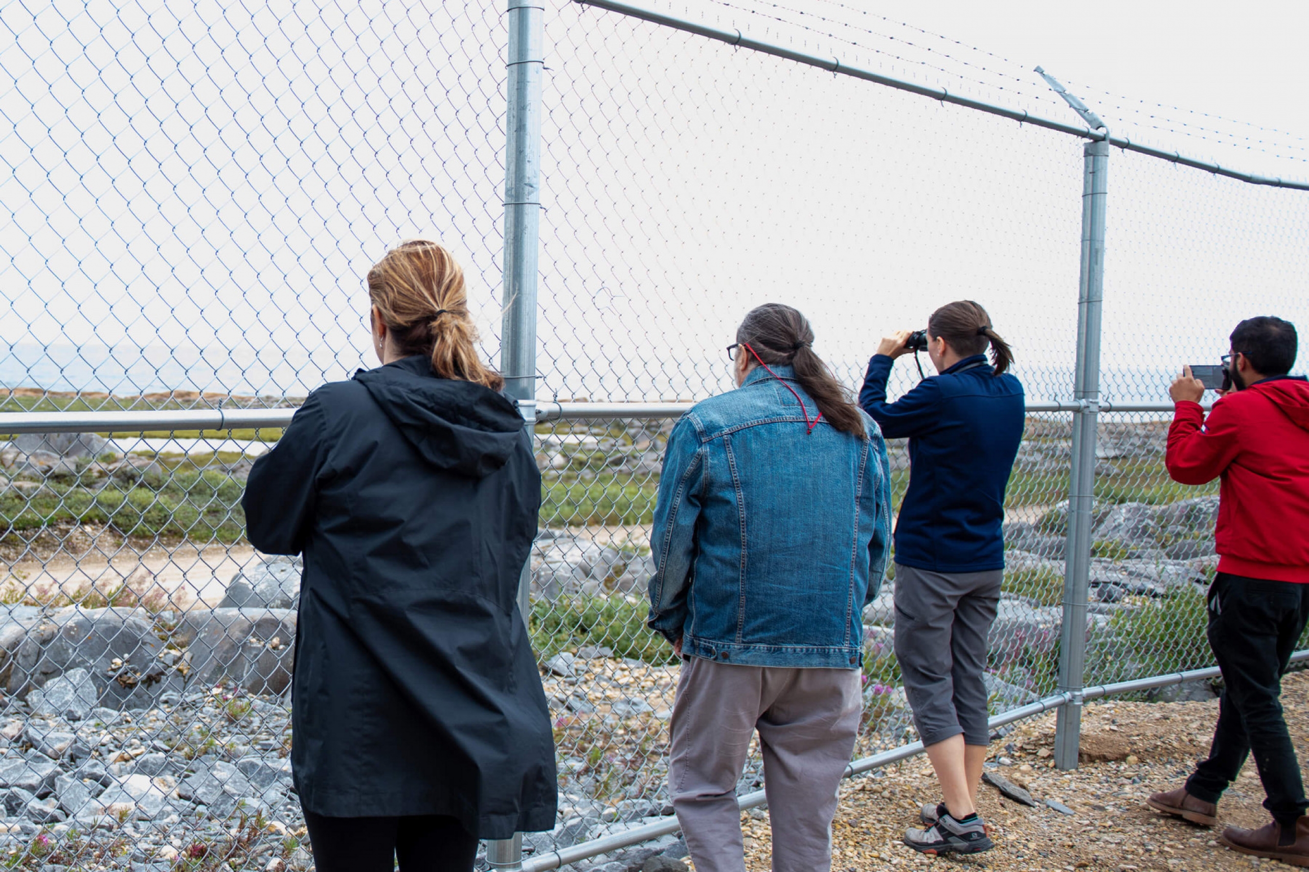people looking out from behind a fence.