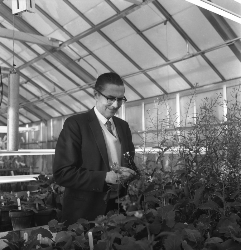 Baldur Stefansson’s work in plant science resulted in the development of canola.